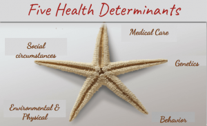 Read more about the article What are the 5 Determinants of Health?
