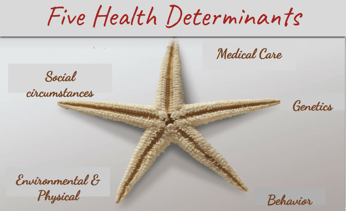 What are the 5 Determinants of Health?