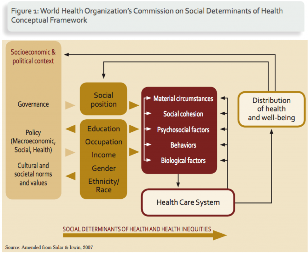 case study of social determinants